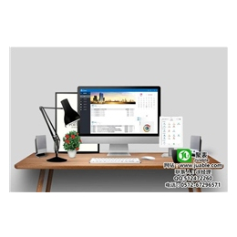 蘇州勝納軟件 專業(yè)ERP開(kāi)發(fā)，助力企業(yè)智慧升級(jí)